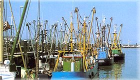 Hafen